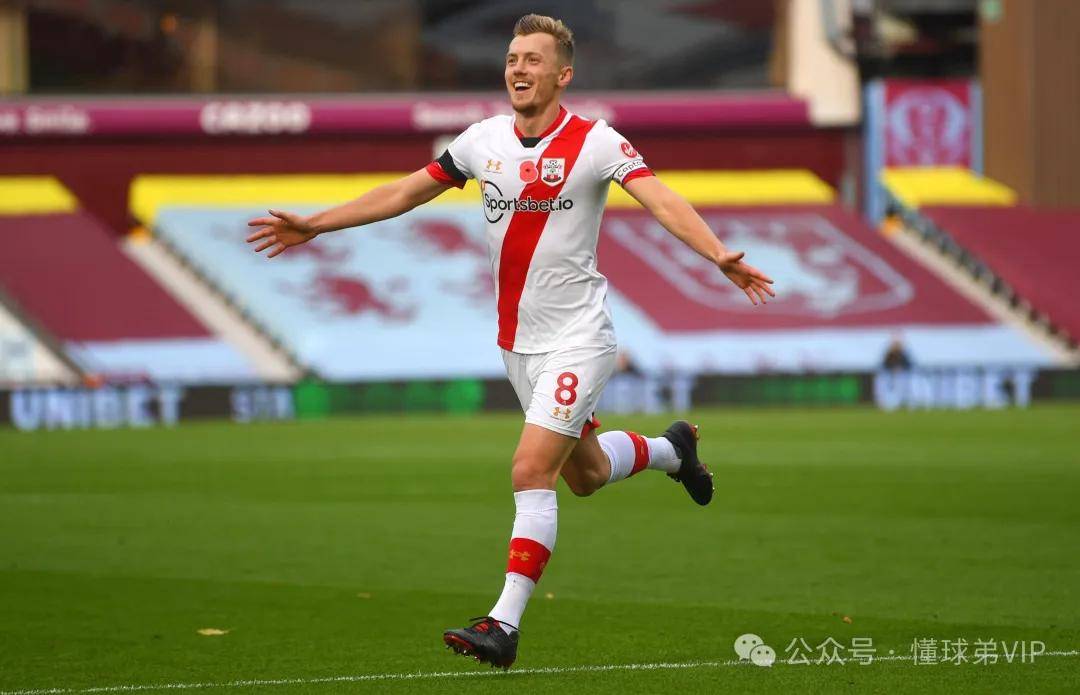 大发彩票-南安普顿逆袭成功，保级形势一片晴朗